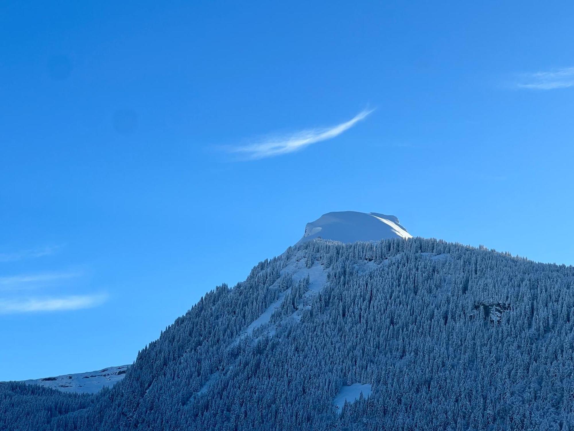 Igloo 3* Morzine